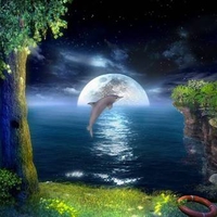 Dolphin and moon