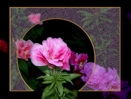 Pink flowers - flowers, 3d