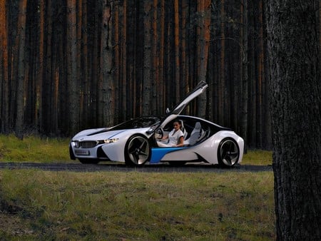 BMW Vision Efficient Dynamics Concept 2009 - vision, dynamics, efficient, bmw, 2009, concept