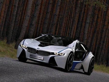 BMW Vision Efficient Dynamics Concept 2009 - vision, dynamics, efficient, bmw, 2009, concept