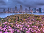 *** SAN DIEGO - Beautiful landscape ***