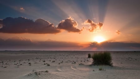 desert at sunset - clouds, sunset, desert, beams, brush