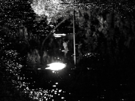 Mirroring - water, autumn, dark, mirroring