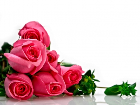 bouquet - flowers, lovely, roses, bouqet