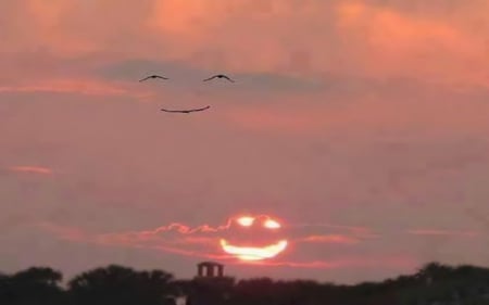 Smiling Sky - clouds, birds, nature, smiles, sun, sky