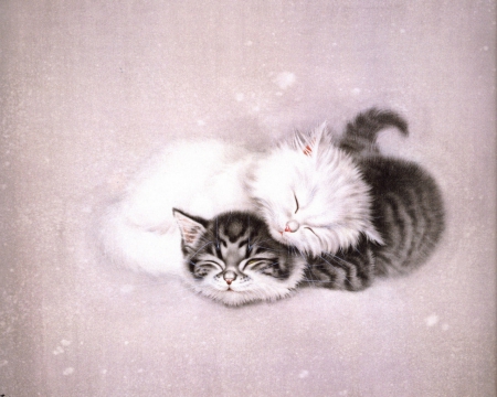 Cute kittens - cat, animals, cute, pet