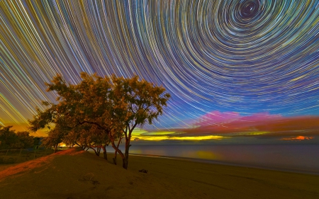 Amazing sky - nature, sky, tree, landscape