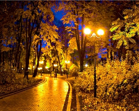 Night at the park - road, trees, night, park