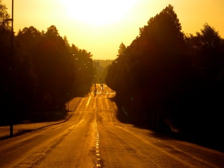 Street - street, morning, early, summer