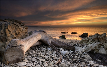 Beautiful sunset - sky, nature, sunset, log