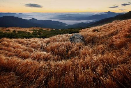 Brown field - field, sky, nature, mountain