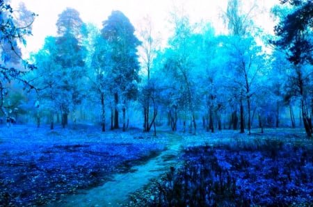 Blue world - path, trees, nature, blue