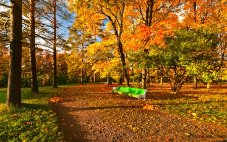 Autumn colors - path, nature, tree, autumn