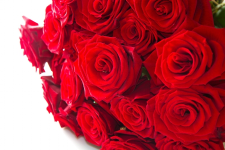 Roses - roses, for you, rose, with love, nature, red, valentines day, flowers, red roses