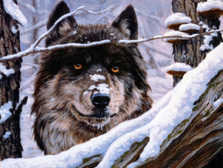 Watchguard - predator, wolg, artwork, snow, winter