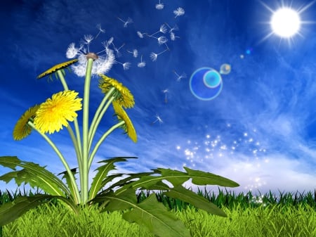 Spring background - shine, dandelion, meadow, rays, flowers, spring, leaves, sun, grass, blue, sky, background, freshness, light, field, nature