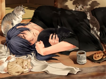 Sleep time with cats - cats, cute, neko, anime, time, sleep