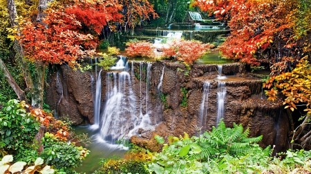 Waterfalls - nature, autumn, forest, cascade, waterfalls, plants