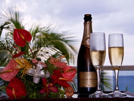 Romantic Getaway - love, sky, glasses, champagne, palms, still life, tray, clouds, romance, flowers