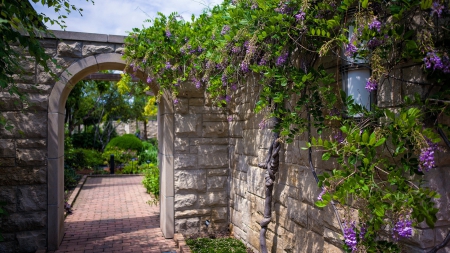 flowering vines on a garden entrance archway - flowers, vines, archway, garden