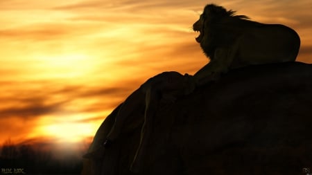 Pride Rock - lion, cat, sunset, savannah, africa, adventure, big, maneater, sunrise