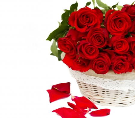 With Love - with love, nature, roses, for you, flowers, rose, red roses