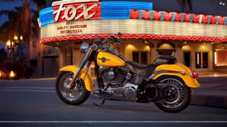 2011 Softtail - vehicles, bikes, harley davidson, motorcycles