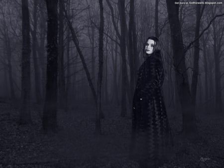 â™¥In The Woods At Nightâ™¥ - mysterious, gothic, dark, woods, trees, woman