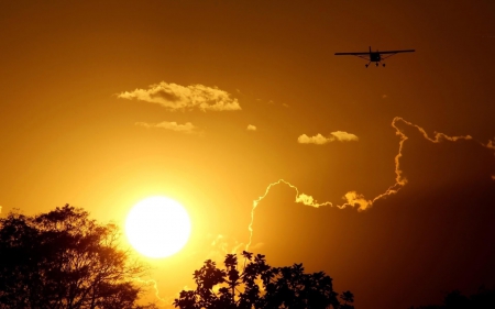 *** Sunset *** - sky, trees, nature, sunset