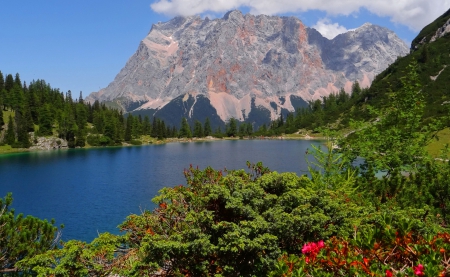 Mountain view - greenery, water, beautiful, majestic, landscape, lovely, mountain, flowers, shore, nature, view, peak, cliffs, lake, rocks