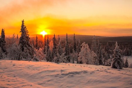 Winter Sunset - sky, trees, landscape, peaceful, winter, mountains, nature, winter time, snow, clouds, splendor, winter sunset