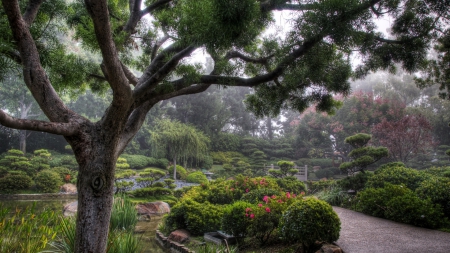 beautiful garden hdr - trees, hdr, pond, path, bridge, garden, bushes