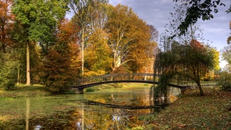 lovely bridge in a netherlands park - bridgemtrees, park, creek, autumn