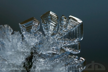 Nature's magic - icecrystals, wallpaper, winter, snowflake, frozen, frost, abstract, frosted, photography, ice, macro, nature, frosty, snow, cold