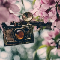 Vintage Camera