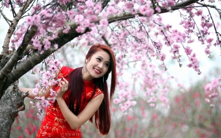 Smiling to the spring - woman, girl, asian, model, spring, pink, red, blossom, tree, oriental