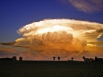 wonderful anvil cloud