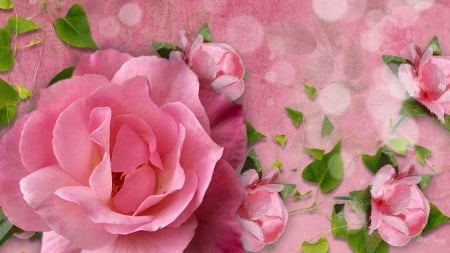 A Rose So Pink - summer, perfume, pink, soft, flowers, spring, fragrant, leaves, roses, bokeh, floral