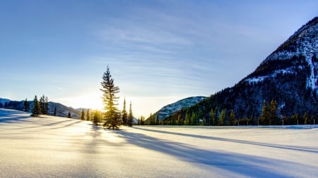 wonderful winter sunrise - winter, sunrise, meadow, mountain, tree