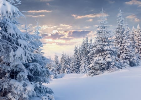 Winter Time - sky, trees, popular, mountains, wintert, winter time, clouds, snowy, landscapes, landscape, forests, winter, wallpaper, nature, snow, splendor, winter splendor