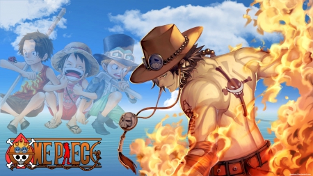 One Piece Anime Ace Sabo Devil Fruit Mera Mera No Mi Fire 