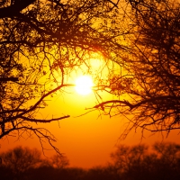 Kruger National Park - South Africa