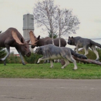 ~~; survival of the fittest;~~