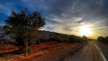 country road on the side of a hill at sunset - hill, tree, road, sunset