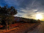 country road on the side of a hill at sunset