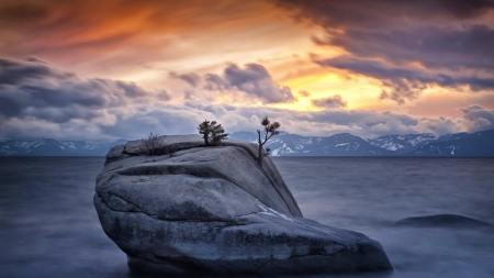 saplings growing within a rock in a bay hdr - clouds, saplings, hdr, sunset, rock, bay