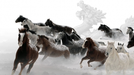 Horses and Dragons - dust, abstrtact, galloping, ranch, running, horses, herd, strength, equestrian, dragon, strong