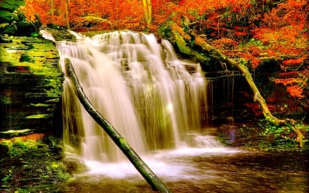 AUTUMN  FOREST FALLS - aiyumn, forest, nature, falls