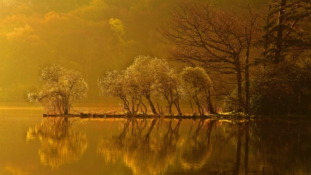 tree covered outcrop on a lake in morning - lake, morning, reflection, outcrop, trees