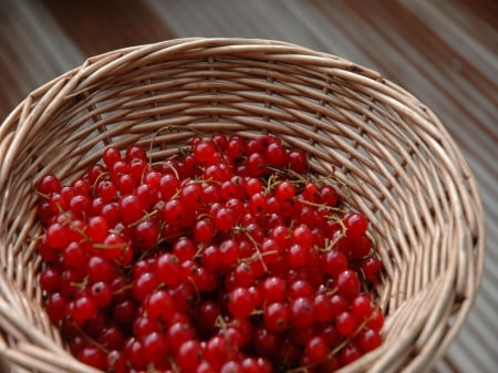 Red Currants In Basket - currant, basket, red, fruit